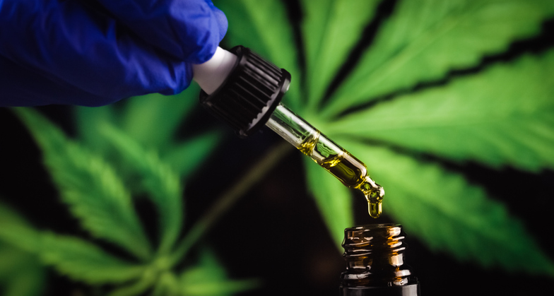 A GUIDE TO SATIVA, INDICA, AND HYBRID STRAINS&nbsp;
